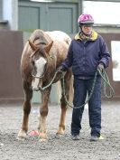 Image 63 in AMANDA BRAHAM. EAST ANGLIAN HORSE AGILITY