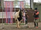 Image 64 in AMANDA BRAHAM. EAST ANGLIAN HORSE AGILITY