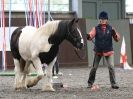 Image 65 in AMANDA BRAHAM. EAST ANGLIAN HORSE AGILITY