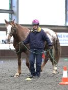 Image 66 in AMANDA BRAHAM. EAST ANGLIAN HORSE AGILITY