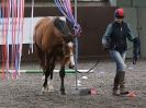 Image 7 in AMANDA BRAHAM. EAST ANGLIAN HORSE AGILITY