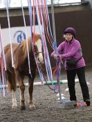 Image 72 in AMANDA BRAHAM. EAST ANGLIAN HORSE AGILITY