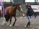 Image 8 in AMANDA BRAHAM. EAST ANGLIAN HORSE AGILITY