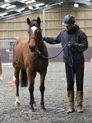 Image 80 in AMANDA BRAHAM. EAST ANGLIAN HORSE AGILITY