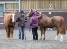 Image 82 in AMANDA BRAHAM. EAST ANGLIAN HORSE AGILITY