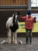 Image 84 in AMANDA BRAHAM. EAST ANGLIAN HORSE AGILITY