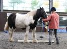 Image 86 in AMANDA BRAHAM. EAST ANGLIAN HORSE AGILITY