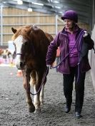 Image 87 in AMANDA BRAHAM. EAST ANGLIAN HORSE AGILITY