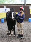 Image 89 in AMANDA BRAHAM. EAST ANGLIAN HORSE AGILITY