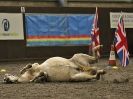 Image 90 in AMANDA BRAHAM. EAST ANGLIAN HORSE AGILITY