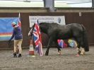 Image 92 in AMANDA BRAHAM. EAST ANGLIAN HORSE AGILITY