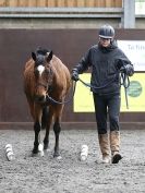 Image 94 in AMANDA BRAHAM. EAST ANGLIAN HORSE AGILITY