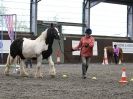 Image 98 in AMANDA BRAHAM. EAST ANGLIAN HORSE AGILITY