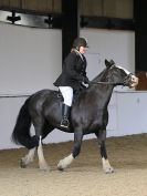 Image 21 in DRESSAGE AT BROADS  EC.  28 NOV. 2015.