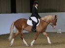 Image 25 in DRESSAGE AT BROADS  EC.  28 NOV. 2015.