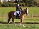 Image 29 in DRESSAGE AT BROADS  EC.  28 NOV. 2015.