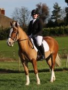 Image 31 in DRESSAGE AT BROADS  EC.  28 NOV. 2015.