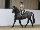 Image 39 in DRESSAGE AT BROADS  EC.  28 NOV. 2015.