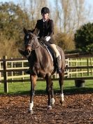 Image 48 in DRESSAGE AT BROADS EC. 28 NOV. 2015.