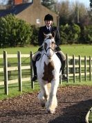 Image 56 in DRESSAGE AT BROADS  EC.  28 NOV. 2015.