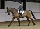 Image 26 in DRESSAGE. BROADS  EC.  28 NOV. 2015