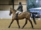 Image 27 in DRESSAGE. BROADS EC. 28 NOV. 2015