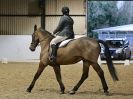 Image 27 in DRESSAGE. BROADS  EC.  28 NOV. 2015