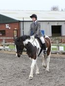 Image 47 in DRESSAGE. BROADS EC. 28 NOV. 2015