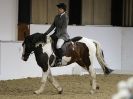 Image 59 in DRESSAGE. BROADS EC. 28 NOV. 2015