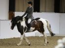 Image 59 in DRESSAGE. BROADS  EC.  28 NOV. 2015