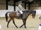 Image 69 in DRESSAGE. BROADS EC. 28 NOV. 2015