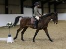 Image 71 in DRESSAGE. BROADS EC. 28 NOV. 2015
