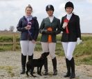 DRESSAGE AT MARTHAM. THE ROSETTES.