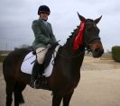 Image 10 in DRESSAGE AT MARTHAM. THE ROSETTES.