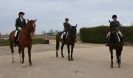 Image 11 in DRESSAGE AT MARTHAM. THE ROSETTES.