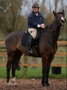Image 12 in SOME SUNDAY SHOW JUMPING FROM BROADS  EC.  29 NOV 2015