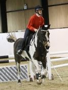 Image 16 in SOME SUNDAY SHOW JUMPING FROM BROADS  EC.  29 NOV 2015