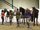 Image 3 in SOME SUNDAY SHOW JUMPING FROM BROADS  EC.  29 NOV 2015