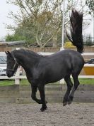 Image 10 in JULIE'S FRIESIANS. 3. DEC. 2015.