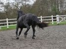 Image 14 in JULIE'S FRIESIANS. 3. DEC. 2015.