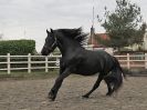 Image 16 in JULIE'S FRIESIANS. 3. DEC. 2015.