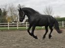 Image 17 in JULIE'S FRIESIANS. 3. DEC. 2015.