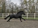 Image 18 in JULIE'S FRIESIANS. 3. DEC. 2015.