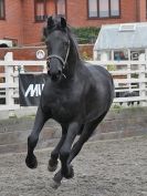 Image 2 in JULIE'S FRIESIANS. 3. DEC. 2015.
