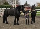 Image 20 in JULIE'S FRIESIANS. 3. DEC. 2015.