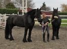 Image 20 in JULIE'S FRIESIANS.  3. DEC. 2015.