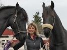 Image 21 in JULIE'S FRIESIANS. 3. DEC. 2015.