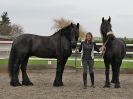 Image 22 in JULIE'S FRIESIANS. 3. DEC. 2015.