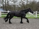 Image 23 in JULIE'S FRIESIANS. 3. DEC. 2015.