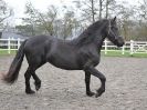 Image 4 in JULIE'S FRIESIANS. 3. DEC. 2015.